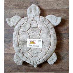 Concrete Turtle